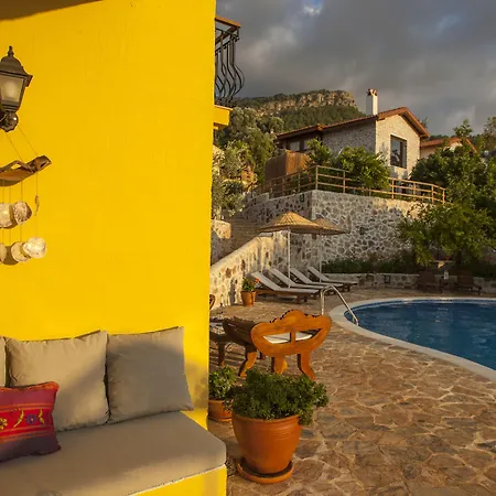 Mandarin & Mango Boutique Hotel-2