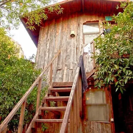 Bayrams Tree Houses-3
