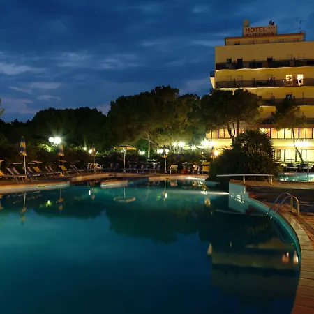 Hotel Ausonia-2
