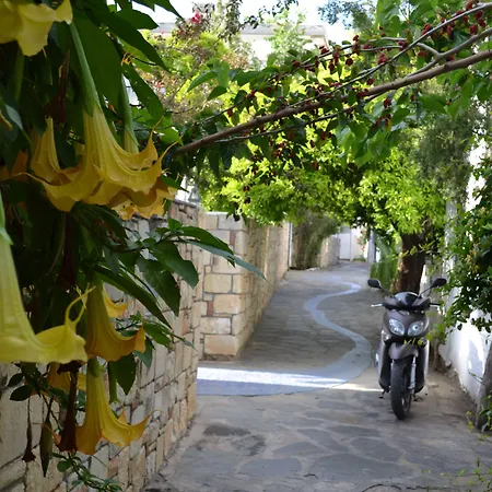 Su Hotel - Bodrum-2