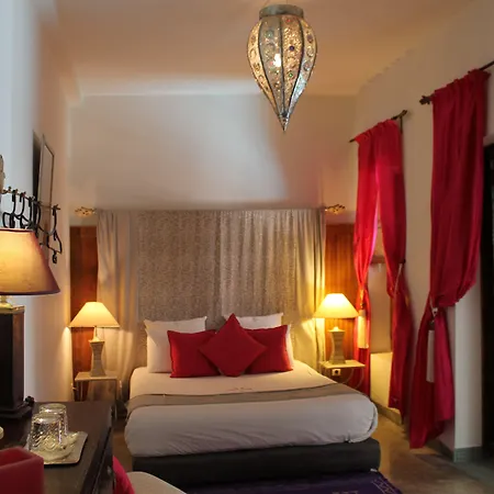 Riad Nafis-2
