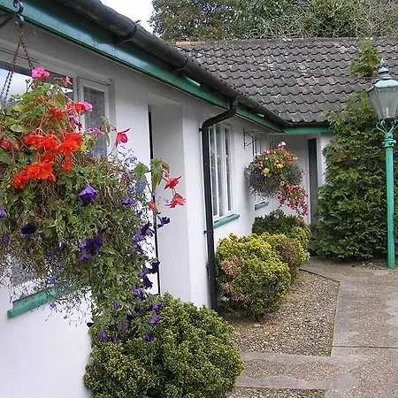 The Willow House-3