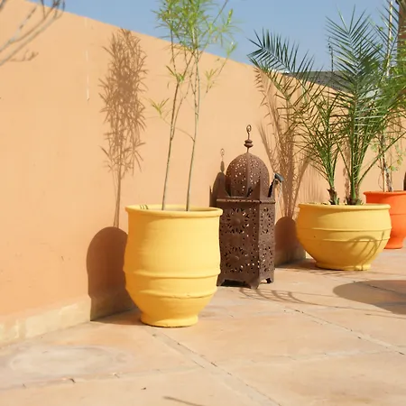 Riad Azenzer-3