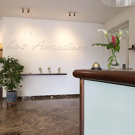 Hotel Les Amandiers-2