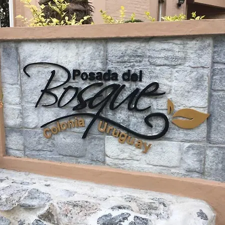 Posada Del Bosque-2