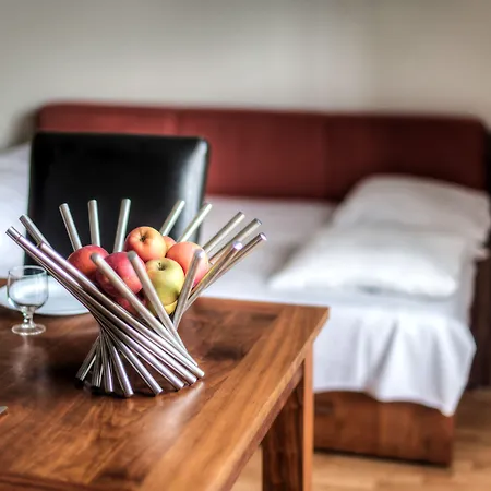 Comfort Aparthotel Lourdes L'Acacia-2