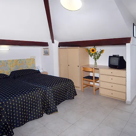 Hotel Delle Mimose-2