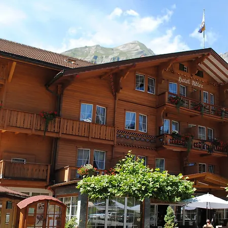 Chalet Hotel Adler AG-2
