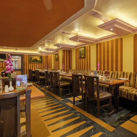 Pai Viceroy-2