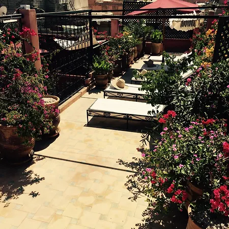 Riad Jona-2