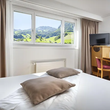 Seerausch Swiss Quality Hotel-3