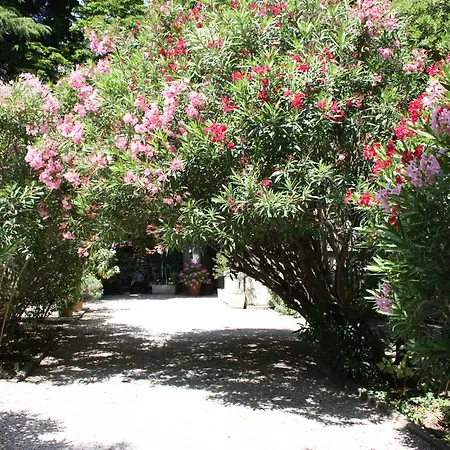 Hôtel le Chalet Fleuri-2