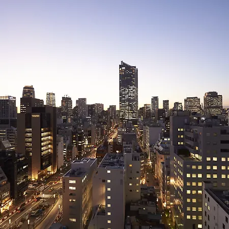Sotetsu Fresa Inn Shimbashi-Karasumoriguchi-2