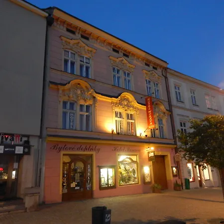 Hotel Morava-2