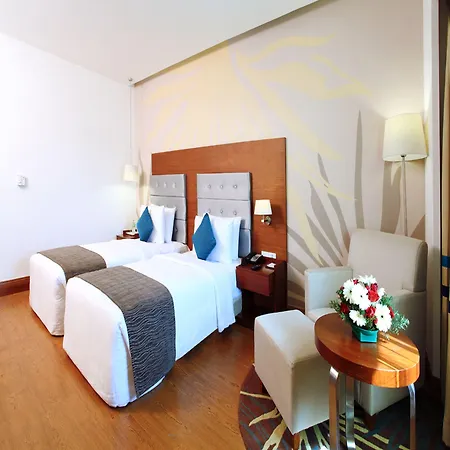 Hotel Abu Palace-2