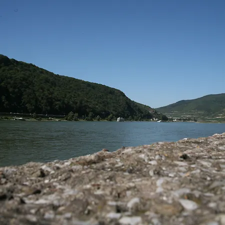 Rheinhotel Lamm-2