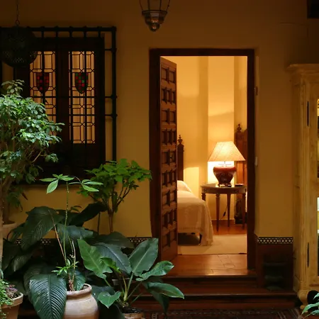 Lux San Miguel-3
