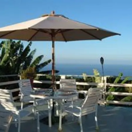 Hale-Hoola B & B-2