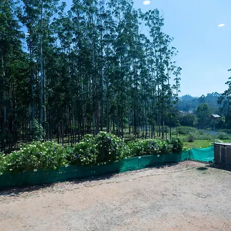 Hillview Munnar-3