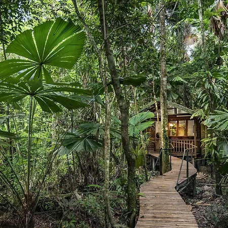 Daintree Wilderness Lodge-3