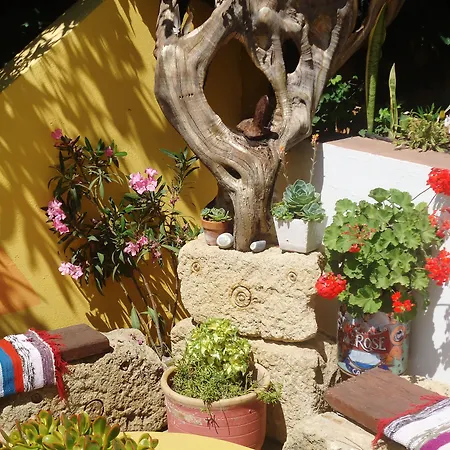 Aris Boutique Hotel-2