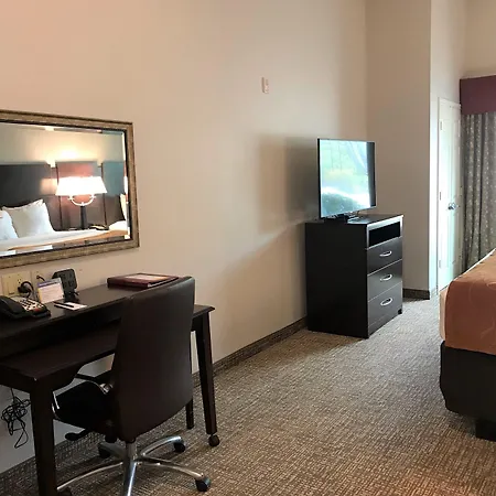 Comfort Suites Bay City East-3