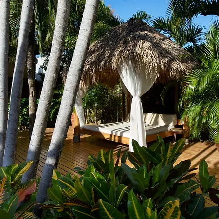 Jardin Del Eden Boutique Hotel (Adults Only)-2