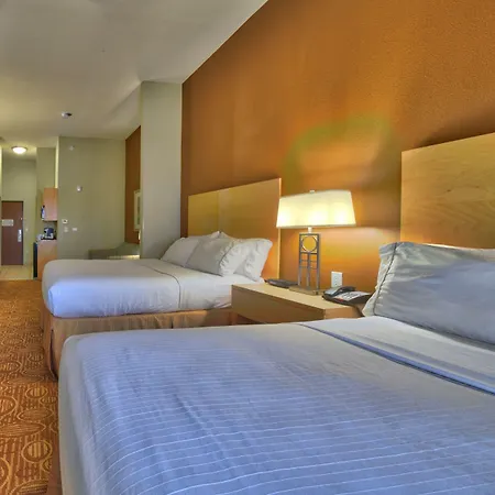 Holiday Inn Express & Suites Lubbock Southwest - Wolfforth By Ihg-2