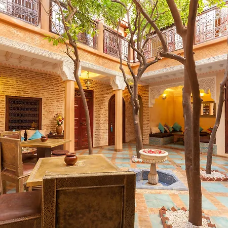 Riad Louaya-3