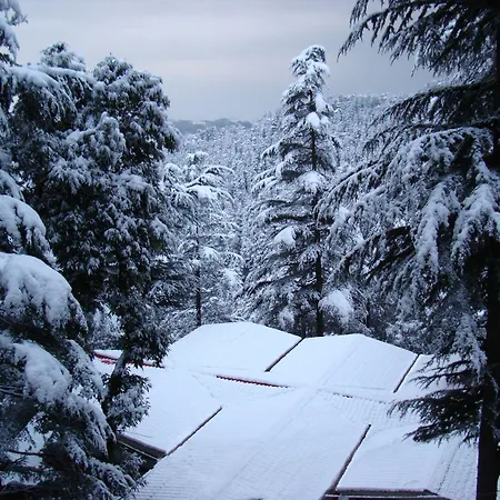 Fairmount Shimla Forest Greens-2