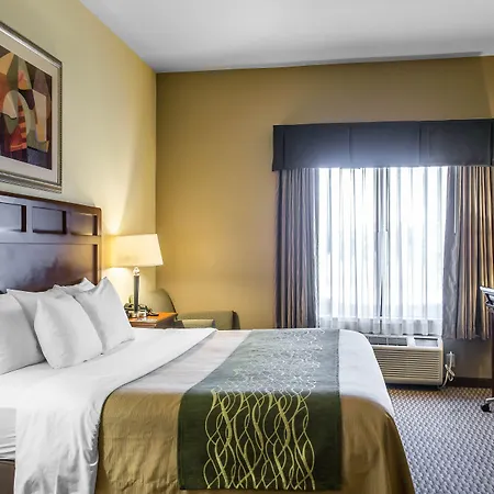 Comfort Inn & Suites-2