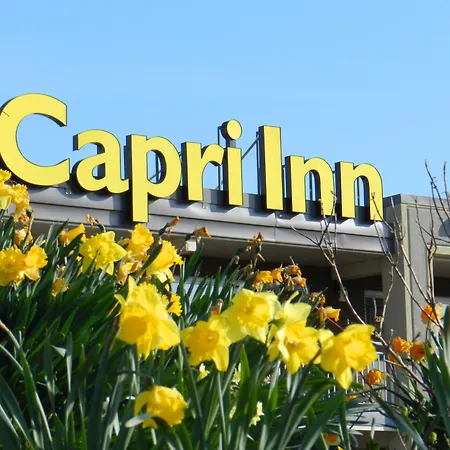 Capri Inn-2