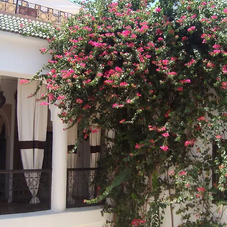 Riad Noor Charana-2