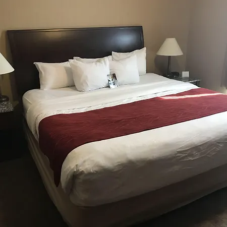 Comfort Inn & Suites-2
