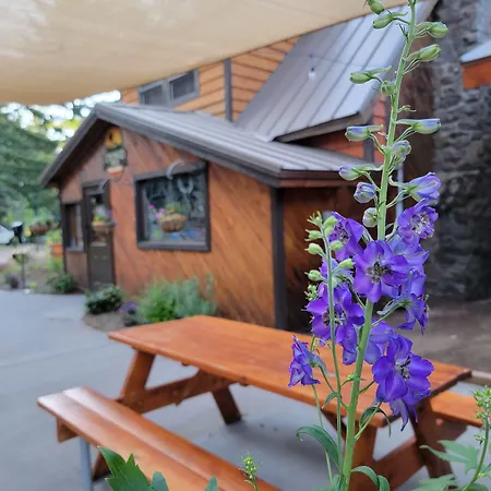 Cooper Spur Mountain Resort-2