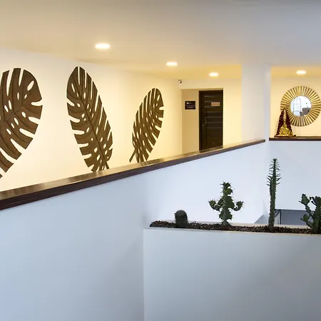 Hotel Carretero-2