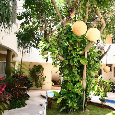 Boutique Hotel Posada 06 Tulum (Adults Only)-2