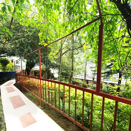 The New Whispering Meadows-2
