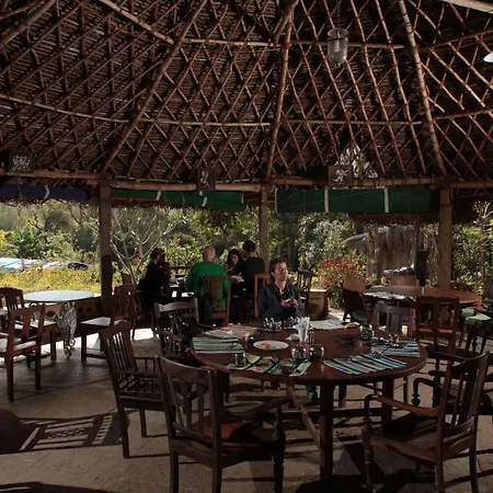 Elephant Valley Eco Farm Hotel-2