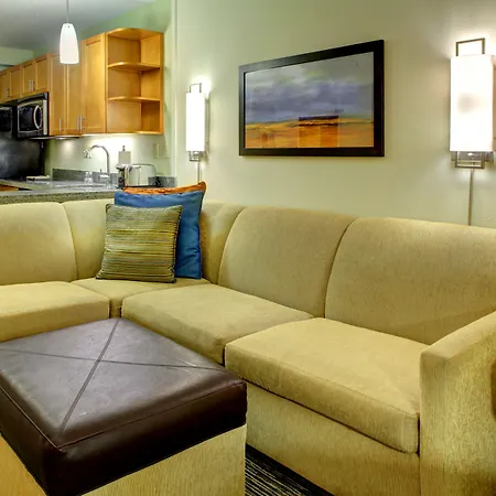 Hyatt House Fort Lauderdale Airport/Cruise Port-2
