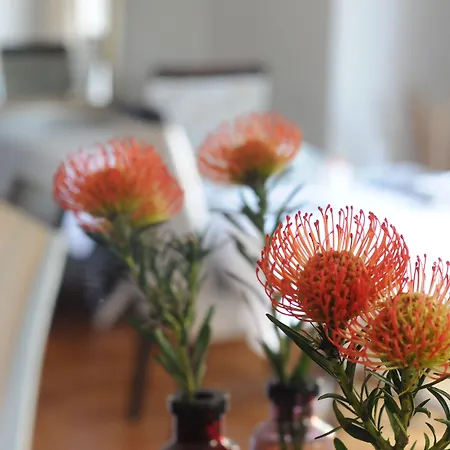 Abbey Manor Luxury Guesthouse-3