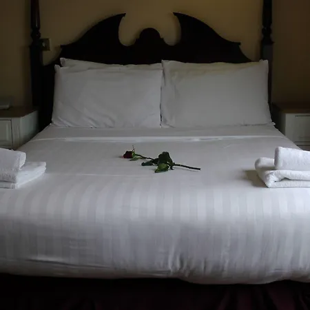 Shamrock Inn Hotel-3
