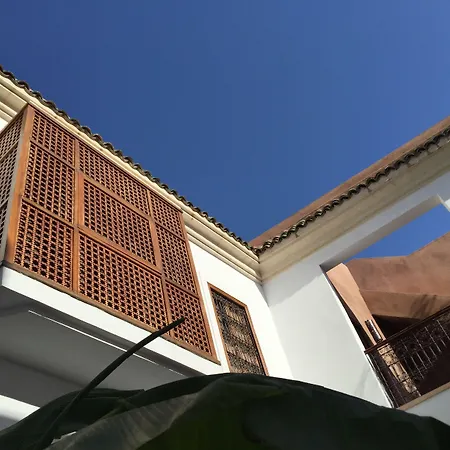 Riad Up-2