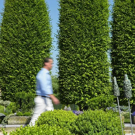 Romantik Parkhotel het Gulpdal-2