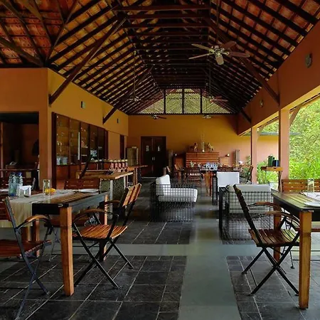 Rainforest Resort-3