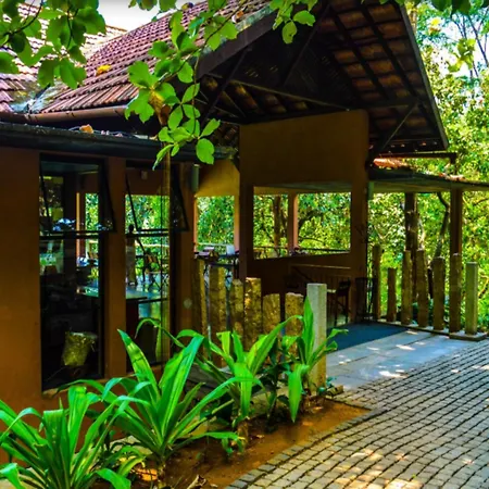 Rainforest Resort-2