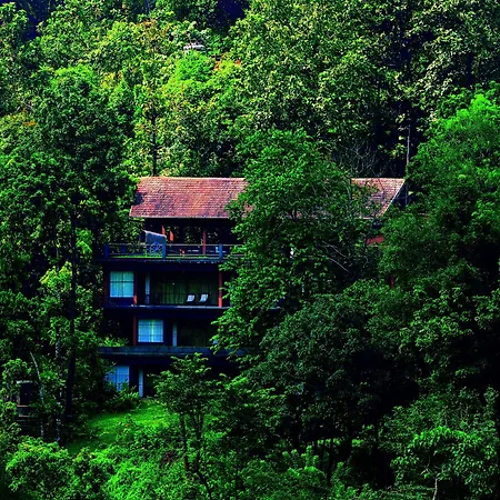 Rainforest Resort-2
