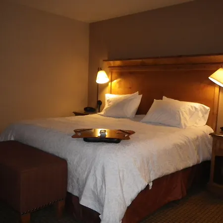 Hampton Inn & Suites Buffalo-3