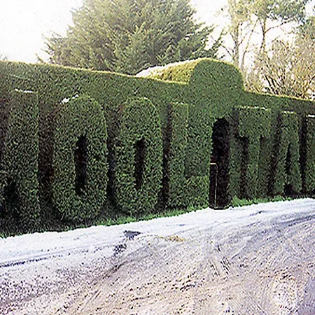 Mooltan House-2