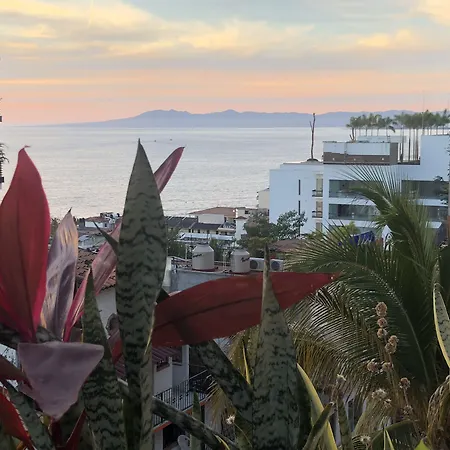 Hotel Amaca Puerto Vallarta - Adults Only-2